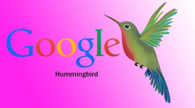 google hummingbird